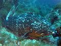 IMG_4517 r1